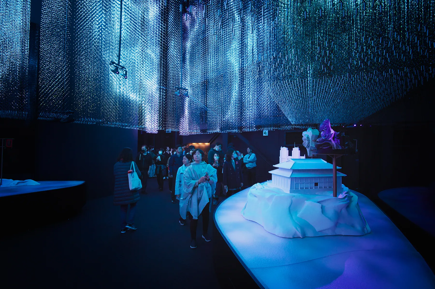 Image courtesy of: Julien Lanoo