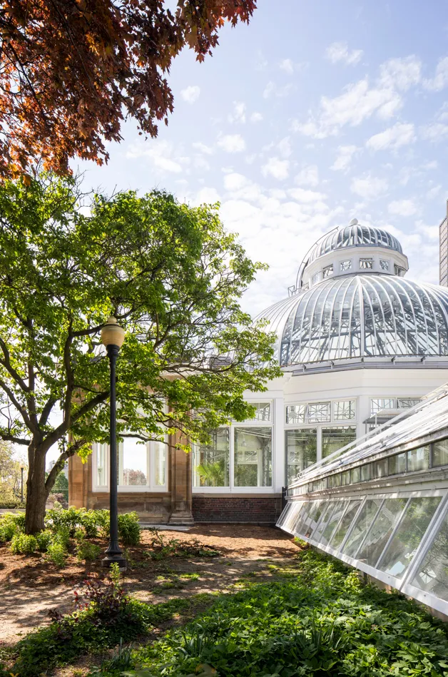 Historic Palm House. Image courtesy of: Adrien Williams