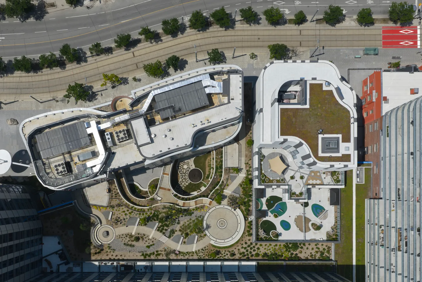 Image courtesy of: Riley Snelling