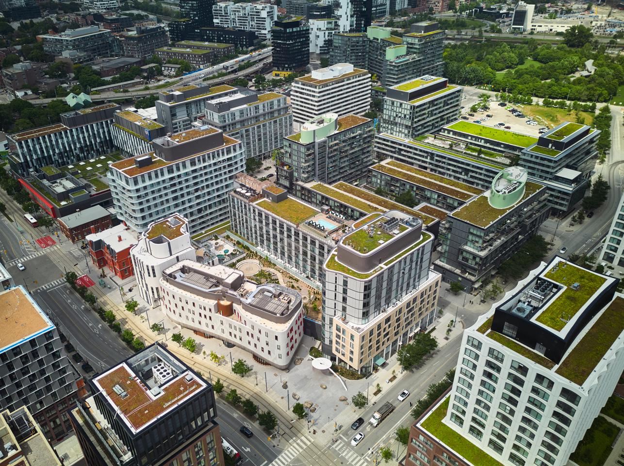 Image courtesy of: Riley Snelling