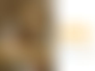 Comfort in Compliance