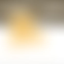 Talent within Disability