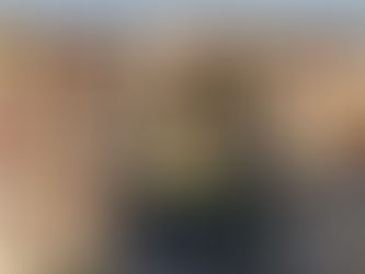 Des ânes dans le quartier!