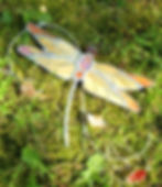 Dragonfly Stained Glass on the Grass