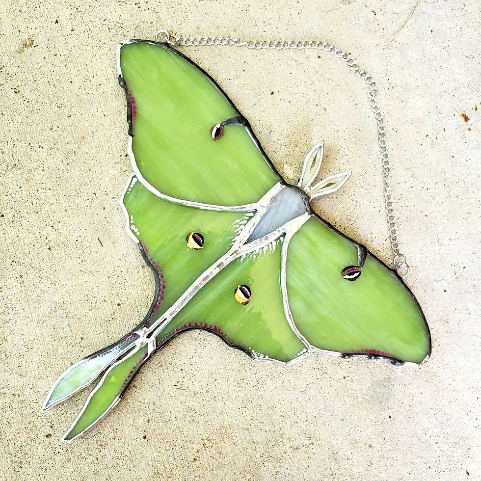 Luna Moth Stained Glass