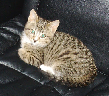 Overexposed flash and blurry.JPG