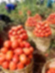 organic Tomatoes