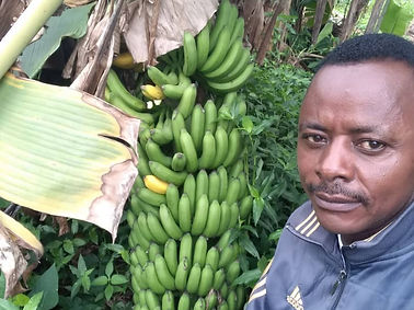 Climate - Resilient Agroecosystems for Food Security in Cameroon.