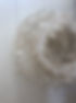 IMG_7666.jpeg