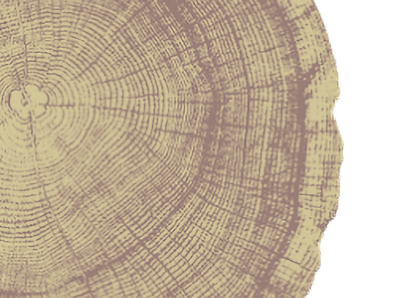 Tree ring colour _edited_edited.png