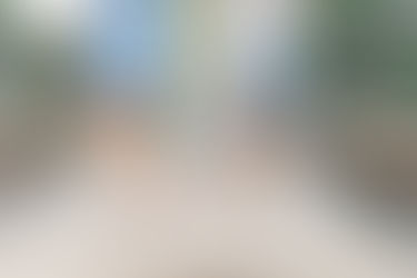 The Knuttila Family | Minnehaha Creek