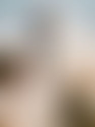 Maternity Photography in Plymouth, MN | Why In-Home Sessions Are Still So Meaningful