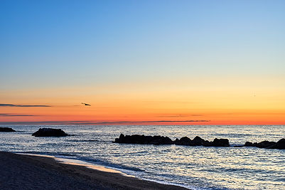 Tramonto con ombre degli alberi sul prato verde
