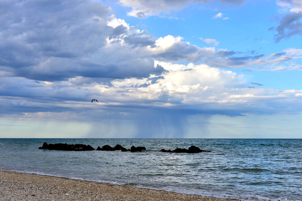 Un gabbiano in volo sopra il mare, il cielo si apre e la tromba marina è in lontananza.
