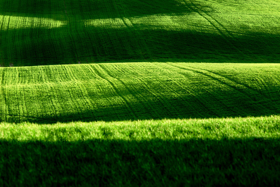 Primo piano di colline verdi con campi coltivati, illuminate dal sole del pomeriggio che crea fasce alternate di luce e ombra.