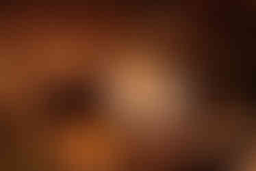 Un fungo dal cappello chiaro emerge tra foglie secche marroni, illuminato da raggi di sole filtrati nel sottobosco.