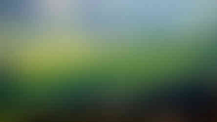 Collina verde con lunghe ombre di alberi che attraversano i campi al tramonto invernale; sullo sfondo case rurali immerse nella luce radente.