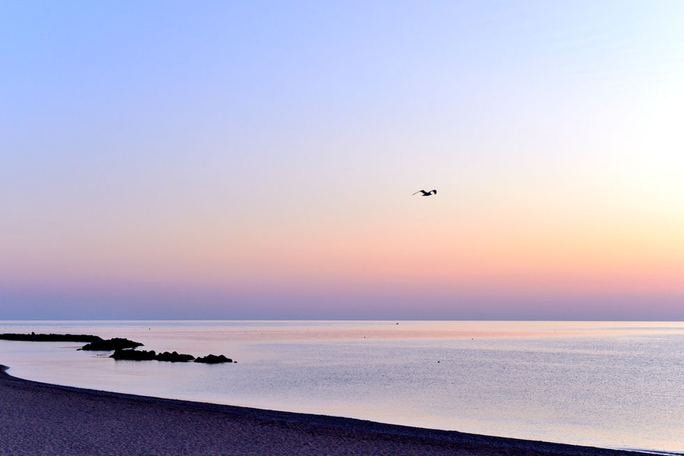 Gabbiano in volo nel cielo dell’alba, sopra un mare calmo dai toni pastello. A sinistra, la curva morbida della spiaggia e alcune scogliere emergono dall’acqua. L’immagine evoca silenzio e leggerezza.