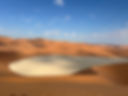 IMG_9348.jpeg
