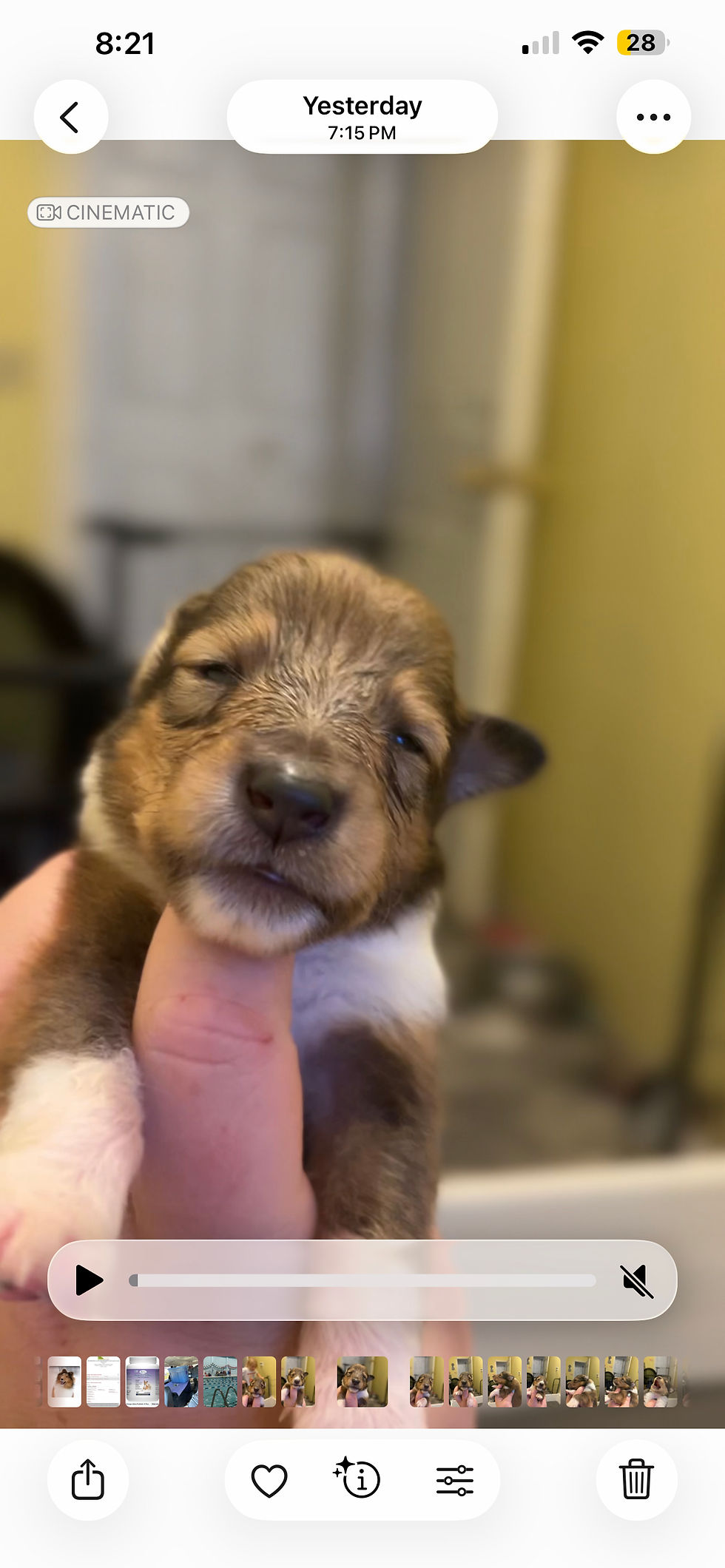 LanaxRiley-2W-Sable Rough Gril