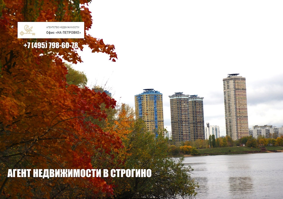 Строгино осенью. Агент недвижимости в Строгино/ Москва. Тел.: +7 (495) 798-60-78 #агентнедвижимости #строгино #риэлтор #риэлтормосква #риэлторстрогино #купитьквартиру #продатьквартиру