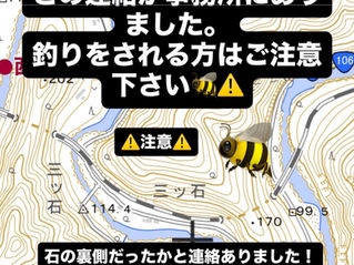 三石鉄橋付近で蜂に注意