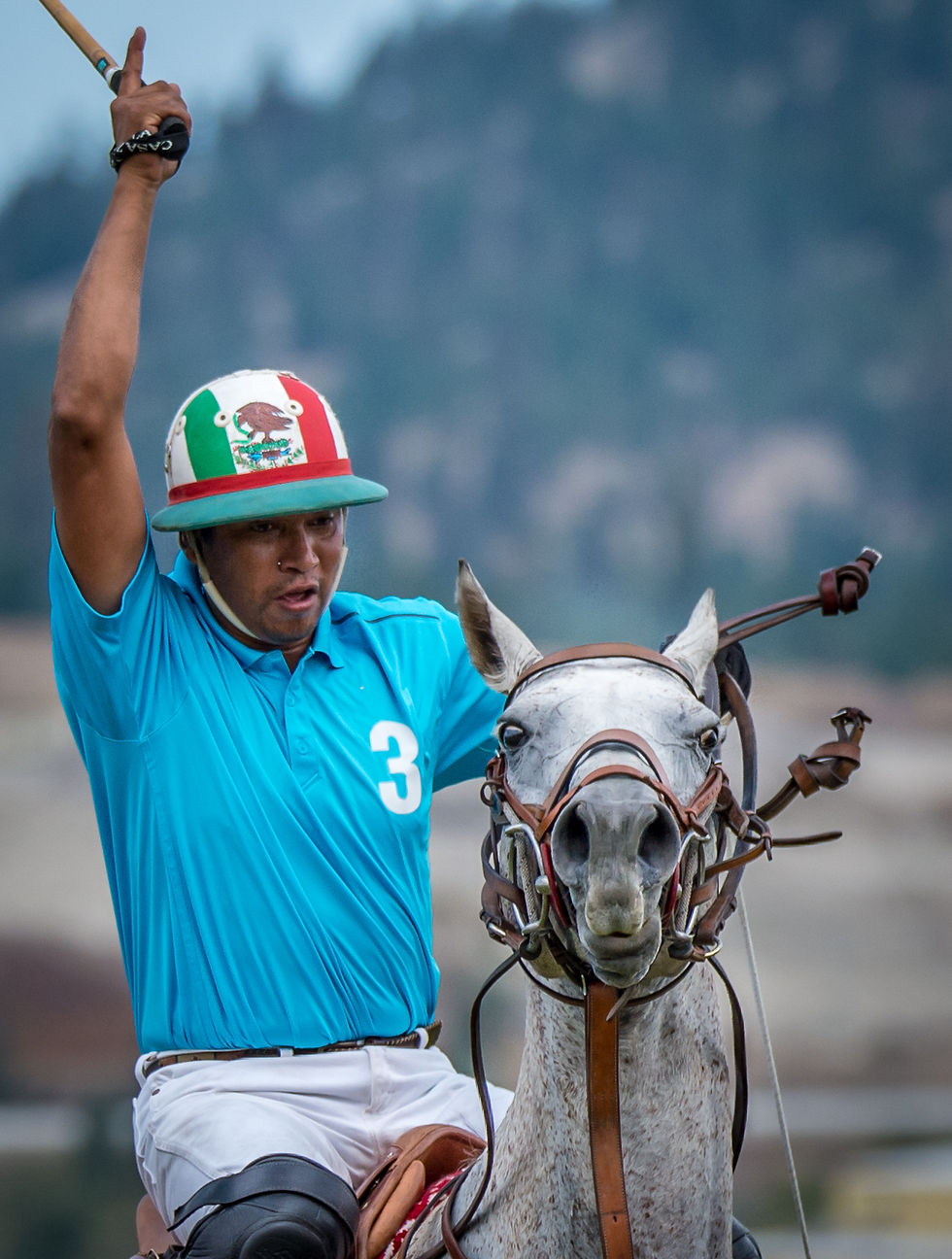 OK Polo Tournament 2015 -5061.jpg