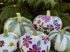 noble adventures nature inspired floral designs