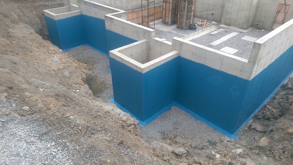 IMAG0520