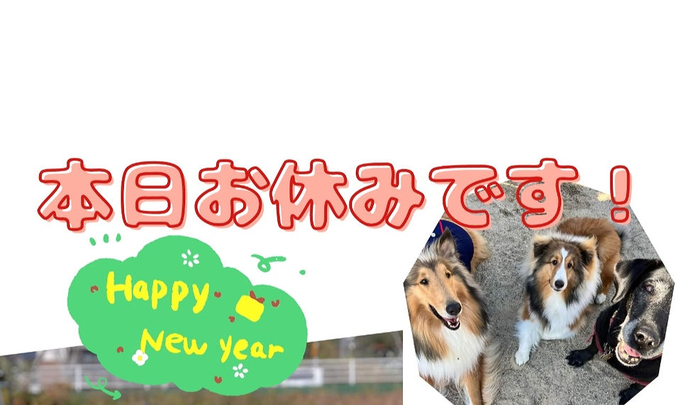 本日雨のため、お休みです。