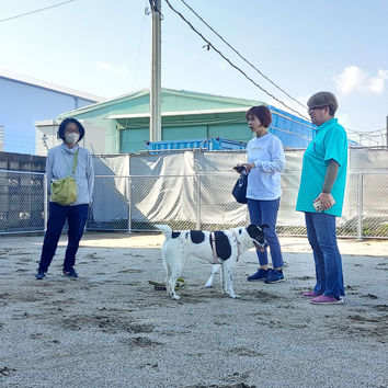 【予約受付】観音ドッグラン オープンイベント ラン利用&レクレーション予約受付