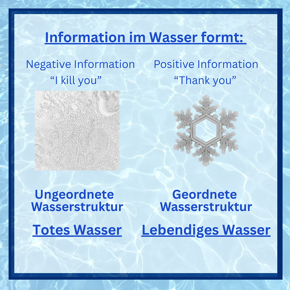 Wie gut ist dein Körperwasser?
