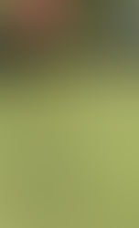 The Hardest Hole Perfectly Played
