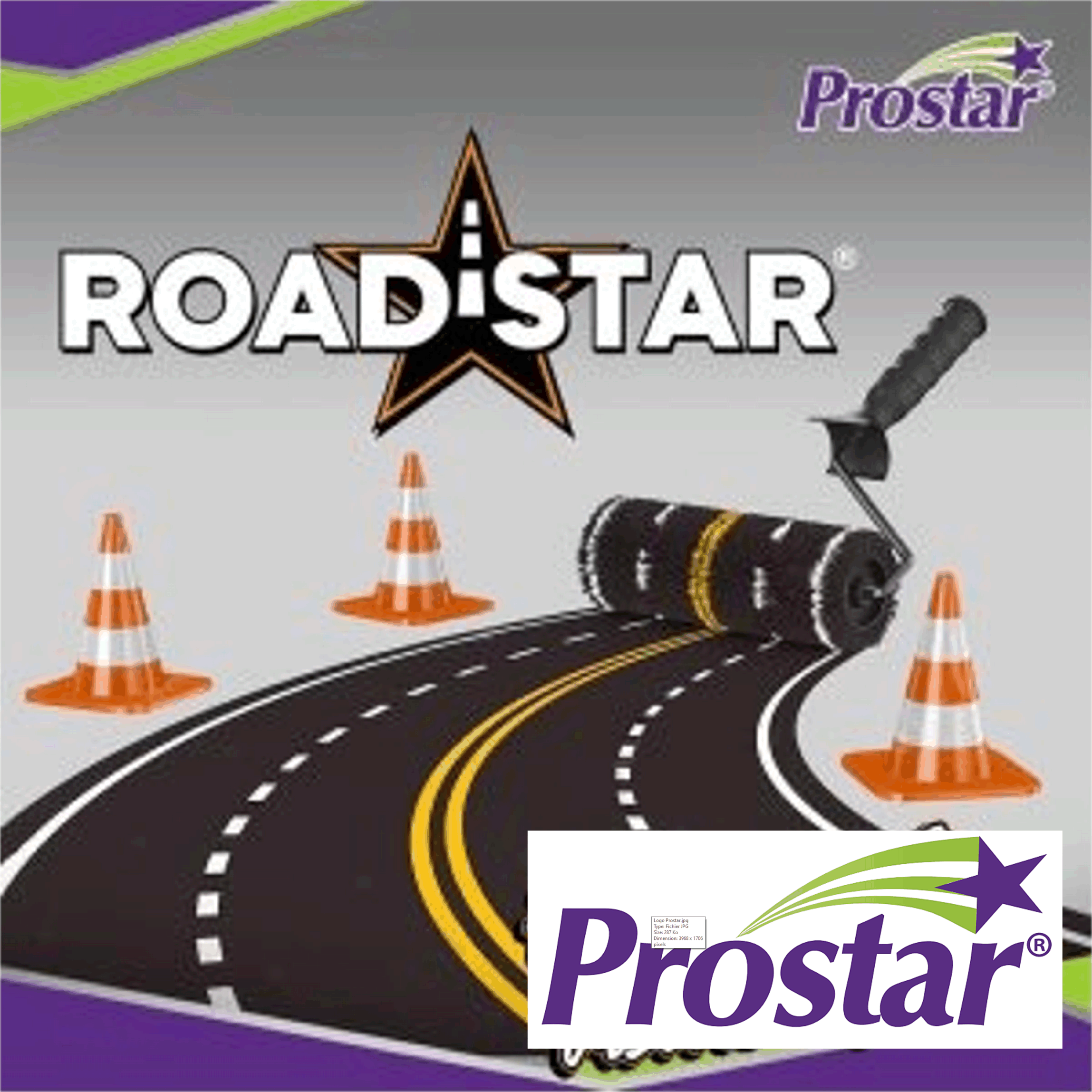 Logo Prostar paint.gif