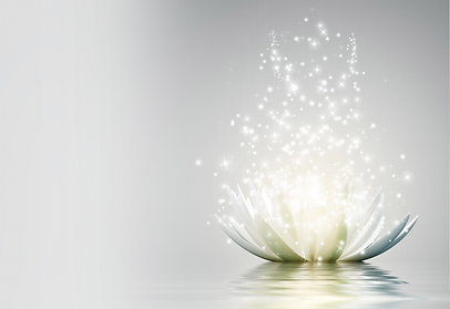 lotus-et-lumiere-fond-blanc.png