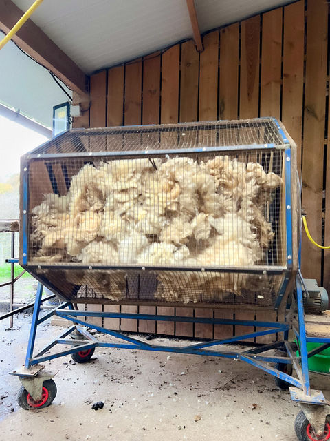 Machine remplie de laine brute