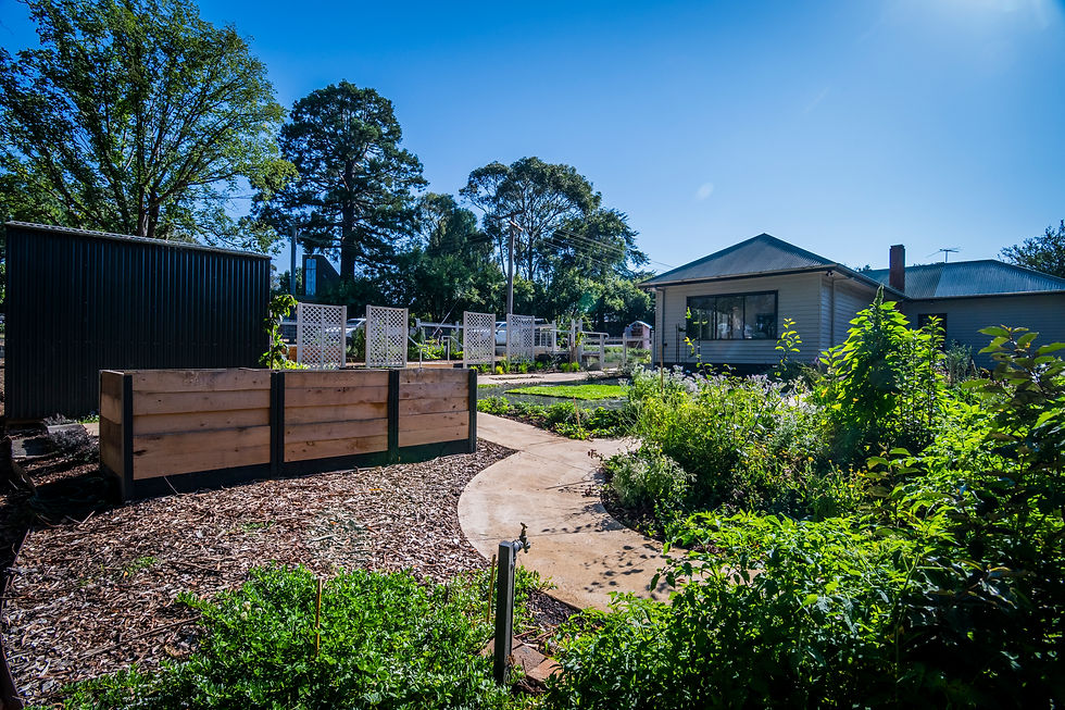 Community House Garden Working Bee