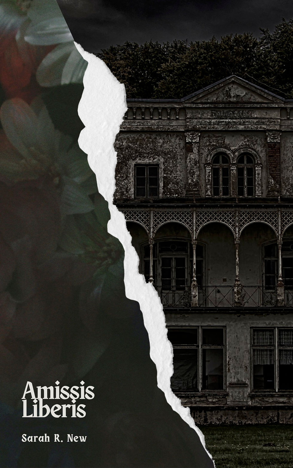 book cover Amissis Liberis; Victorian house in black and white