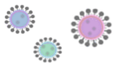amabie-corona2-ani.gif