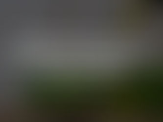 Is CBD Legal? Here's What You Need to Know, According to Science, and How to Start a WordPress.