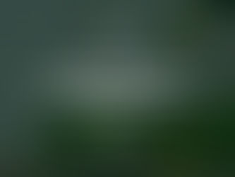 Navigating CBD Oil: Benefits, Side Effects, and Dosage Guidelines.