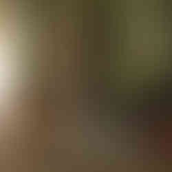 Mural art of a green landscape on the wall of a home by artist Claire Basler