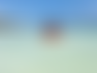 eBook i plany na przyszłość 