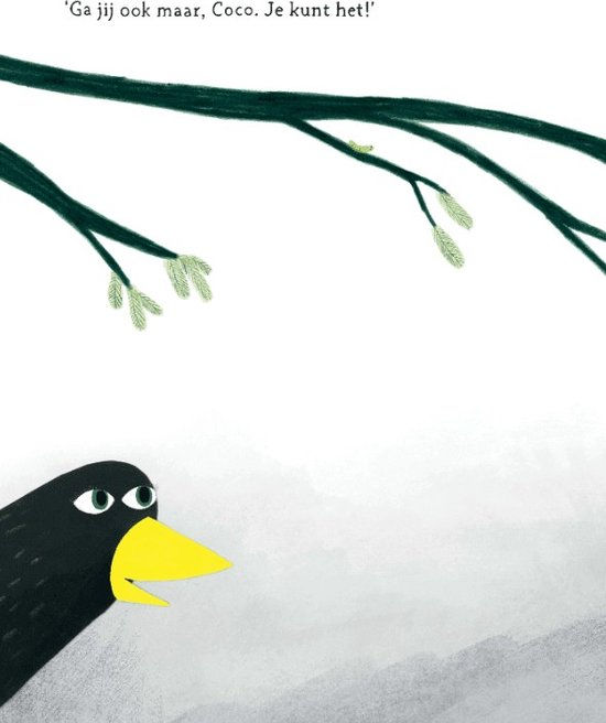 Thumbnail: Coco kan het!