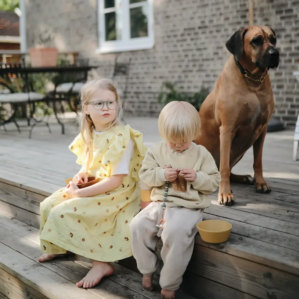 Thumbnail: Round Dinnerware Plates Mustard, Set of 2