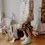 Thumbnail: Dollies | Maggie Lu