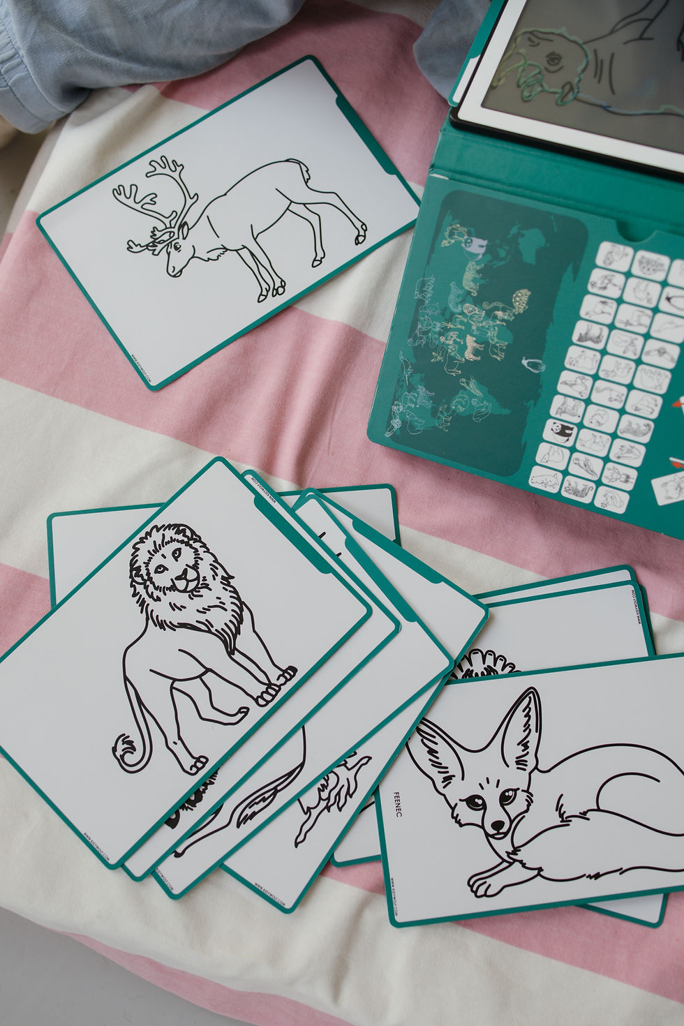 Thumbnail: KIDYWOLF | Kidydraw-Mini Drawing Tablet  | Animals Around The World