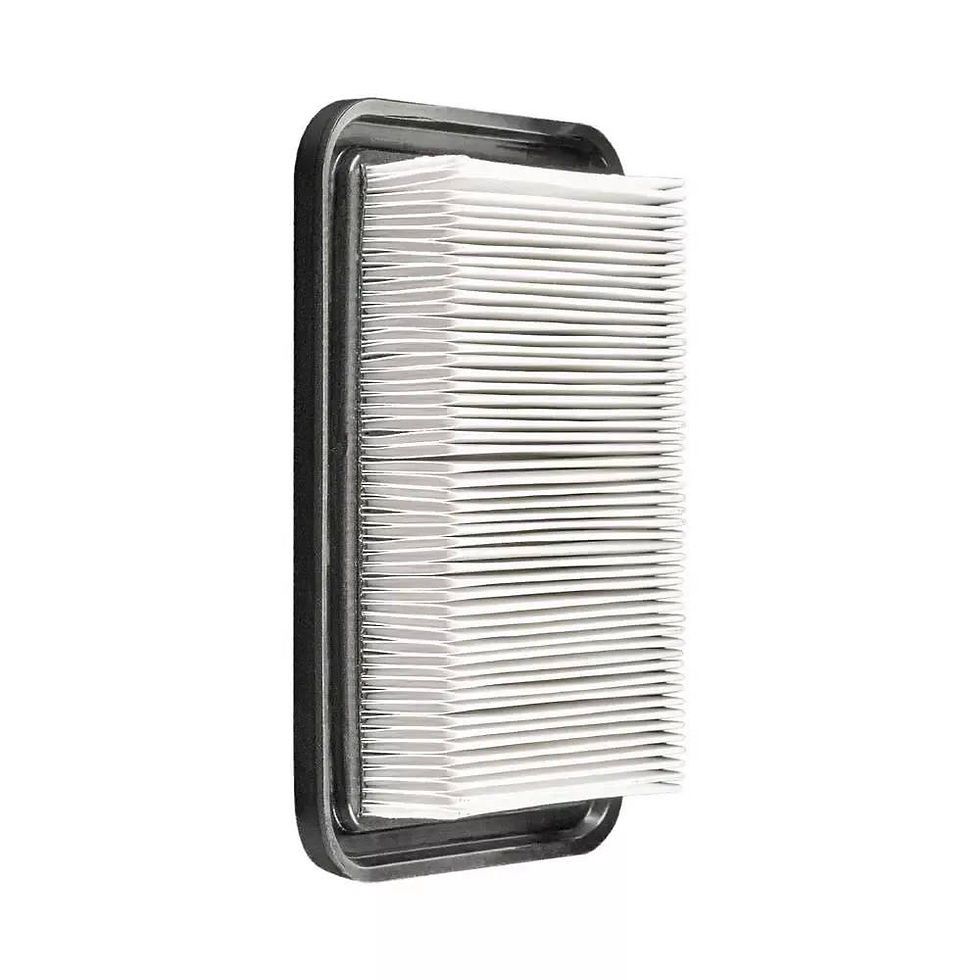 Filtro para aspirador Nilfisk Attix 33 - Vista trasera