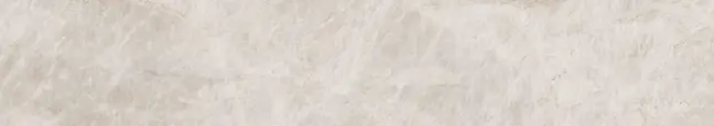 Agra Ivory