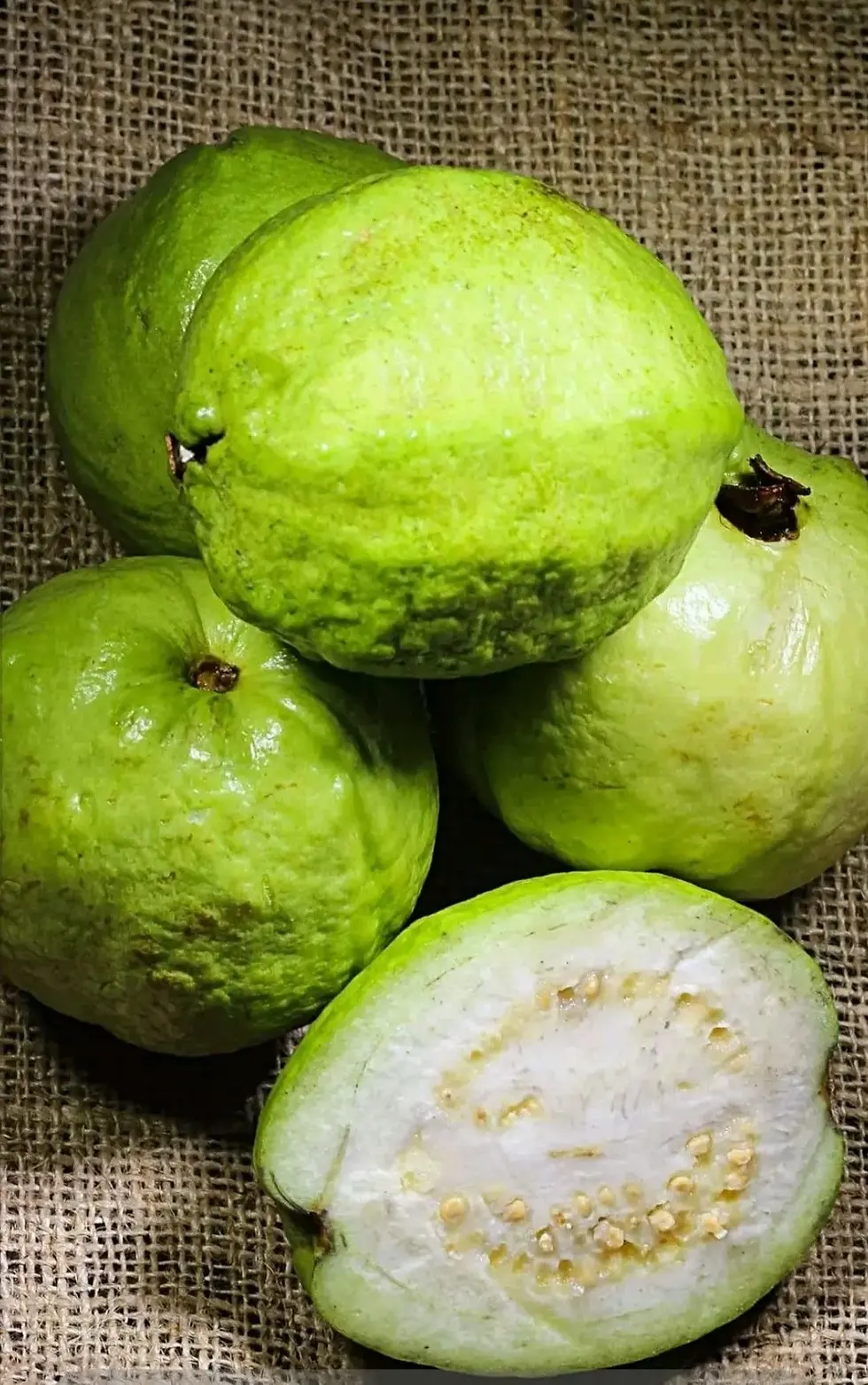 Fresh Guava in Greater Noida
